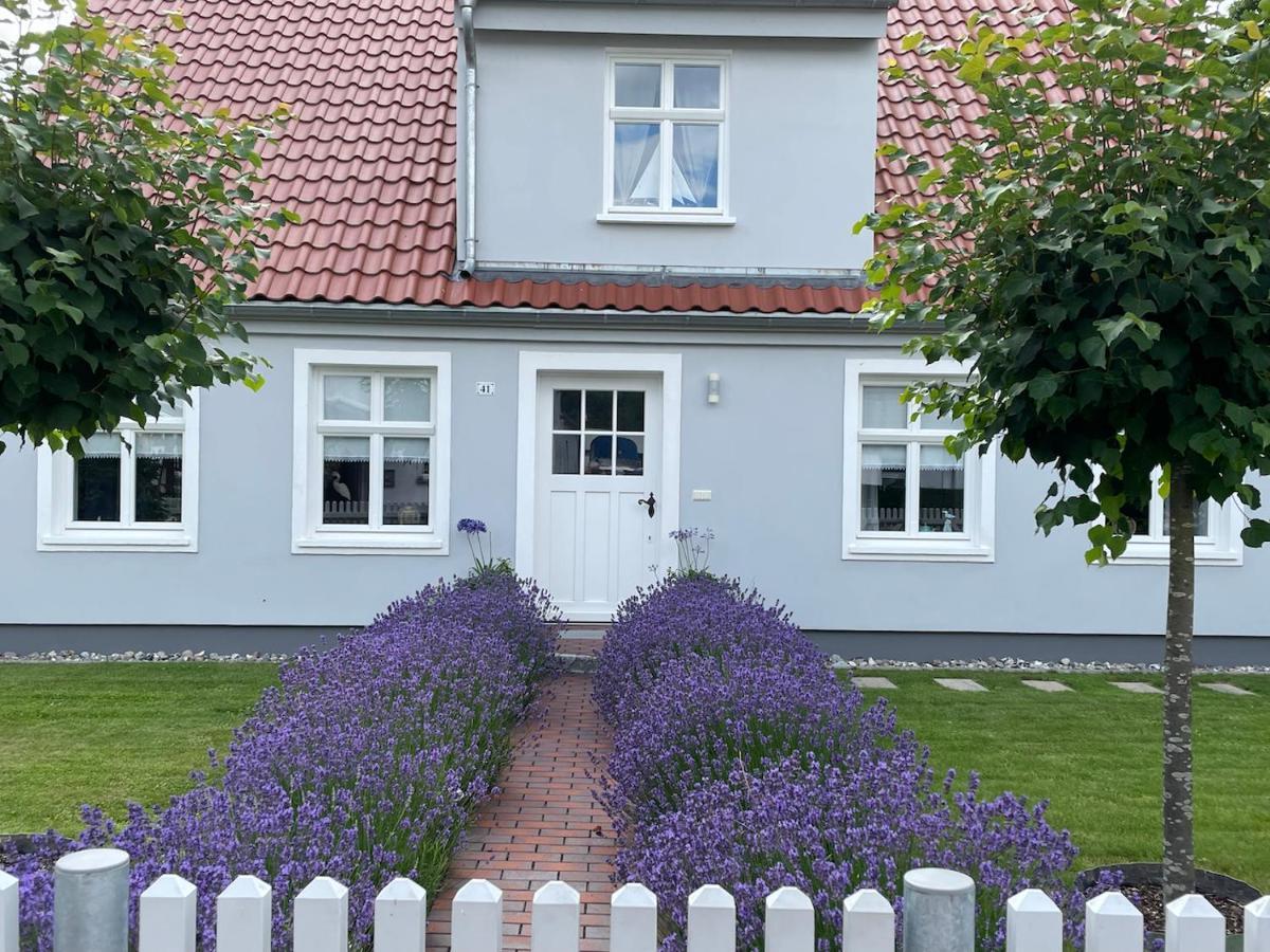 Haus Vicus Apartment ไกรฟ์สวัลด์ ภายนอก รูปภาพ